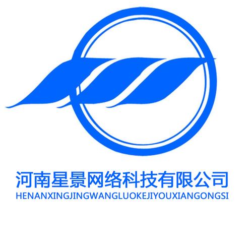 网络与软件技术服务 企业数字化转型的核心支撑